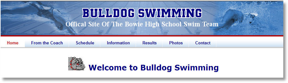 Bulldog Swimming